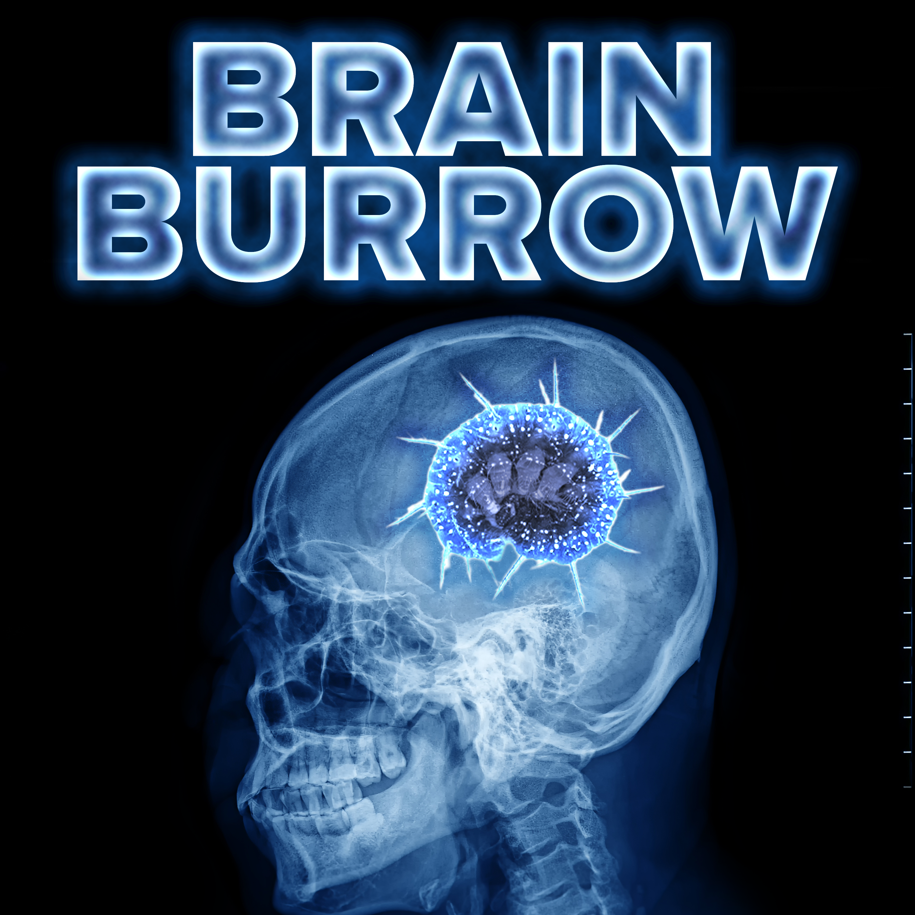 brainburrow4_podcasticon-1